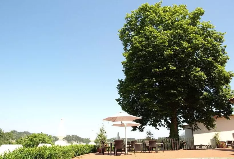 هتل La Piconera And Spa