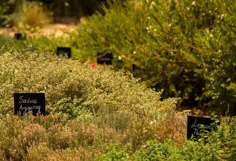 Отель Minos Palace Resort Adults Only