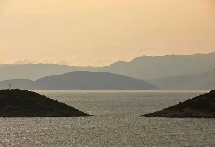 Отель Minos Palace Resort Adults Only