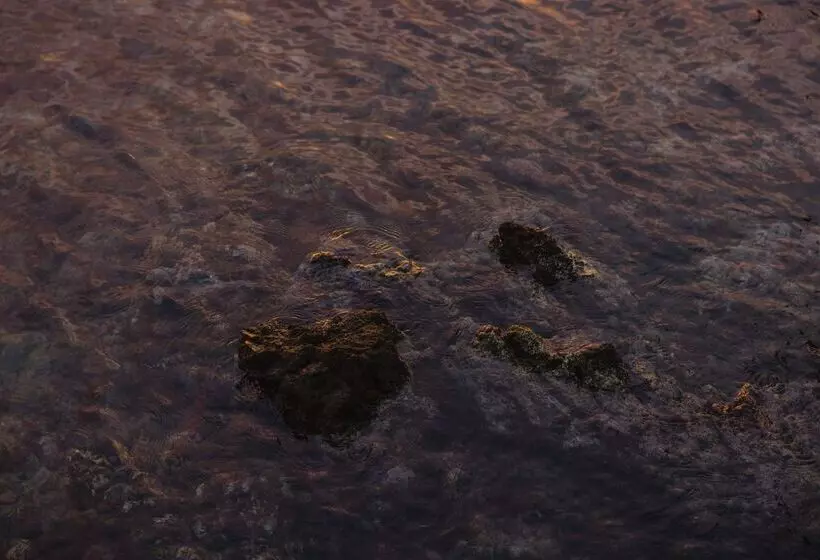 Отель Minos Palace Resort Adults Only