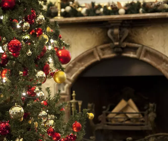 Отель Monterey Sapporo