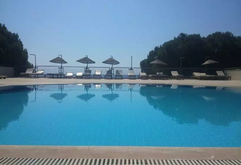 호텔 Pine Beach Boutique