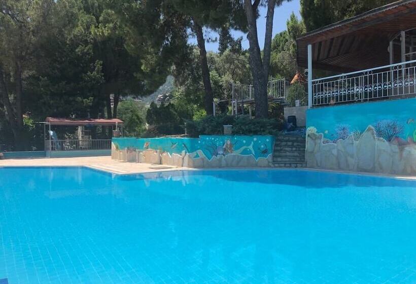 בית מלון כפרי Pine Beach Boutique