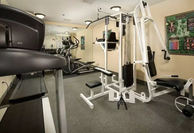 Hotel Residence Inn By Marriott Bwi Airport