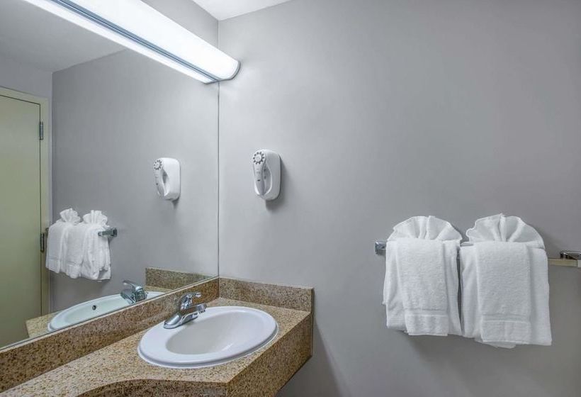 فندق Super 8 By Wyndham Brooklyn / Park Slope