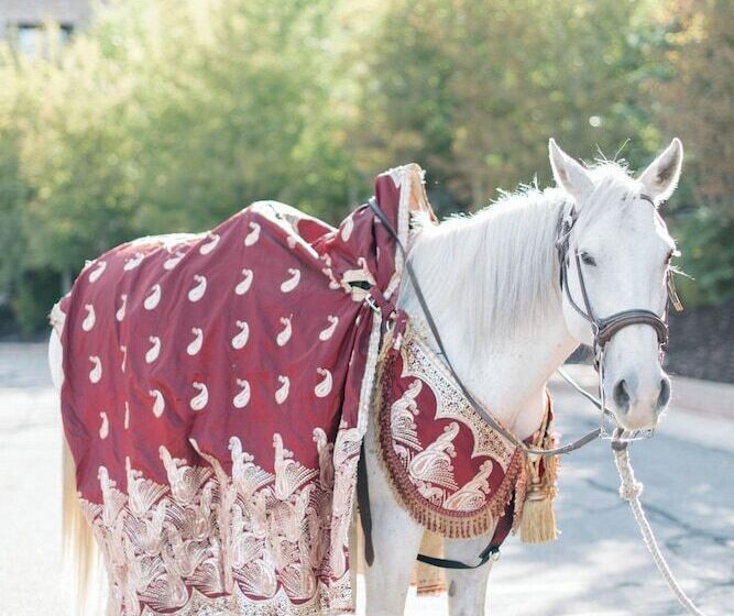 هتل St. Regis Deer Valley