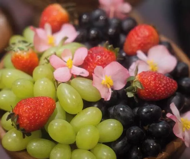 ホテル Fortaleza Mar