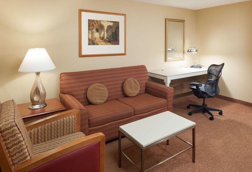 فندق Hilton Garden Inn Mcallen Airport