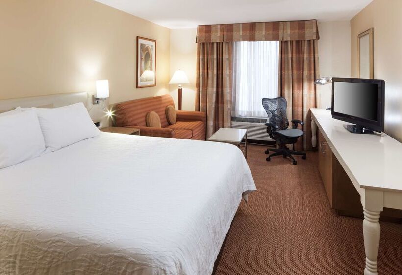 فندق Hilton Garden Inn Mcallen Airport