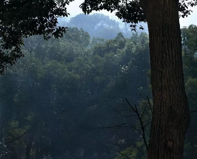 Hotelli Landison Longjing Resort Hangzhou