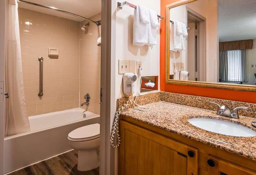 בית מלון כפרי Best Western Dulles Airport Inn