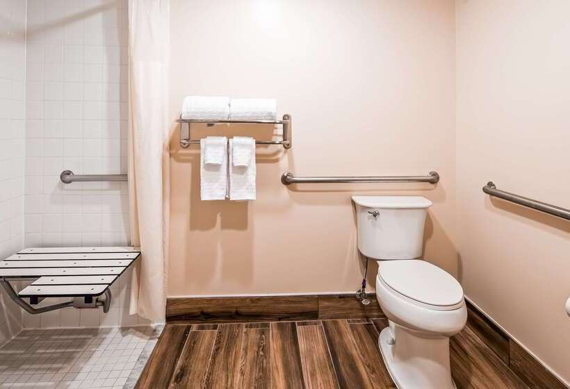 בית מלון כפרי Best Western Dulles Airport Inn