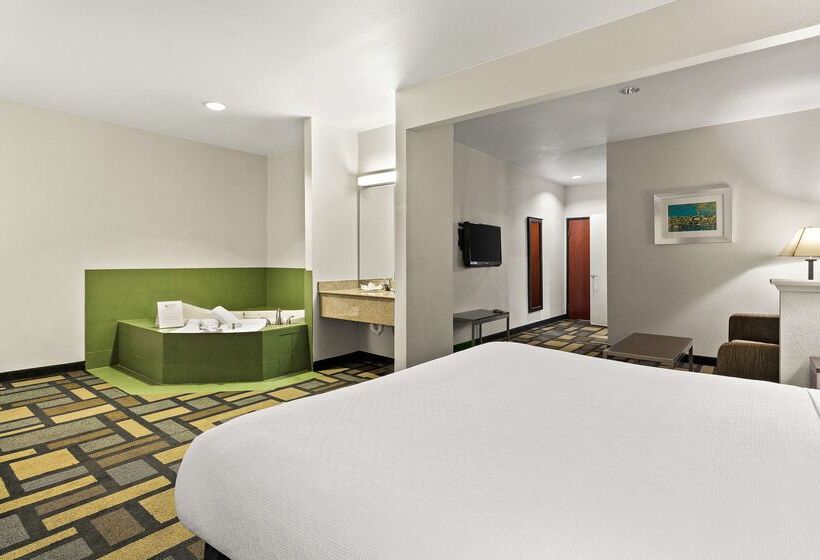 هتل Best Western Galleria Inn & Suites