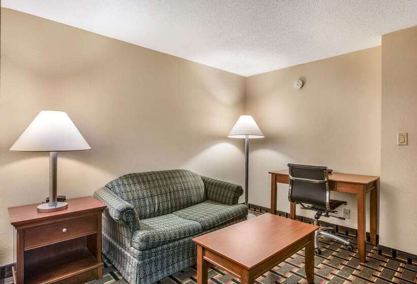 فندق Econo Lodge Inn & Suites Marietta
