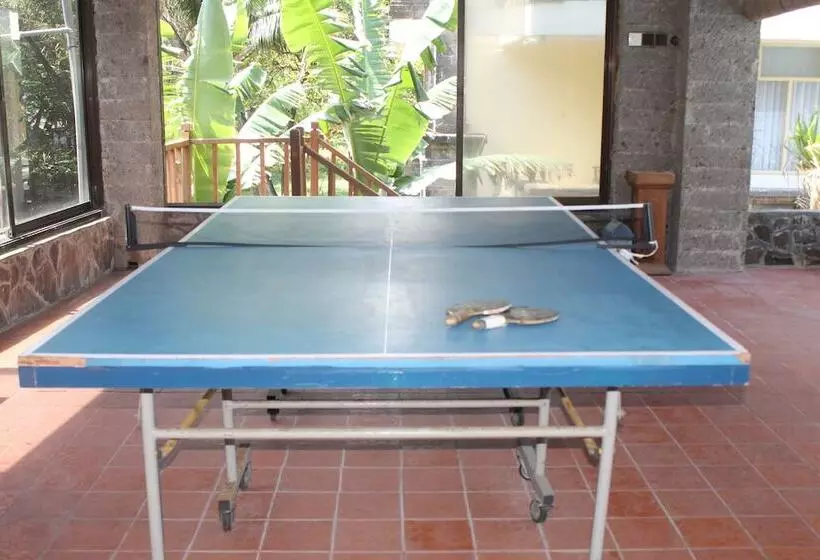 ホテル Melasti Kuta Bungalows & Spa