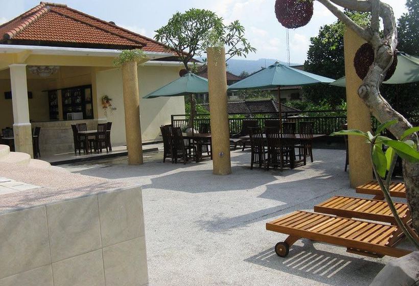 Отель Dolphin  Bali