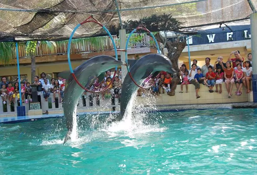Отель Dolphin Bali