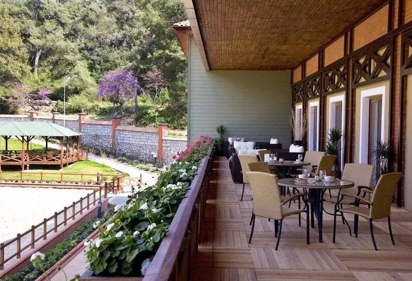 Padok Premium Hotel And Stables