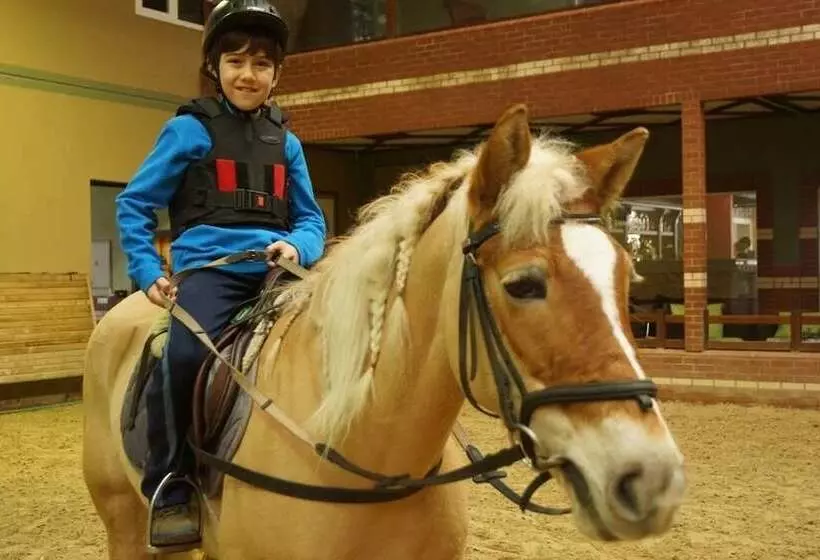 Padok Premium Hotel And Stables