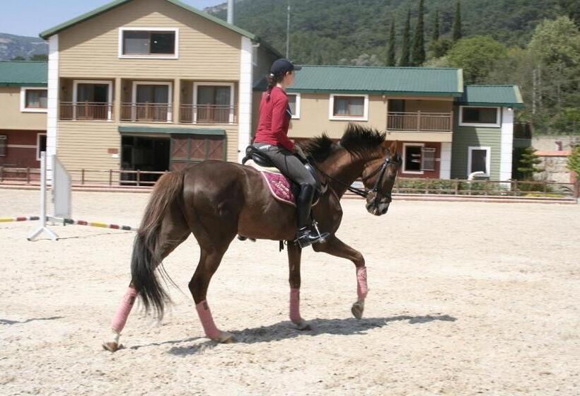 Padok Premium Hotel And Stables