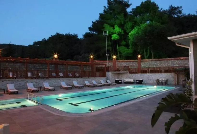 Padok Premium Hotel And Stables