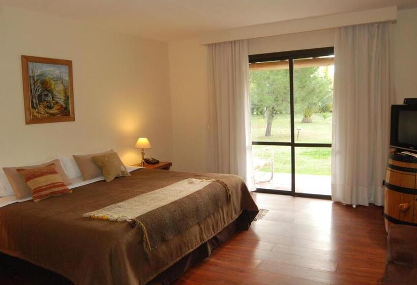 فندق Suter Petit