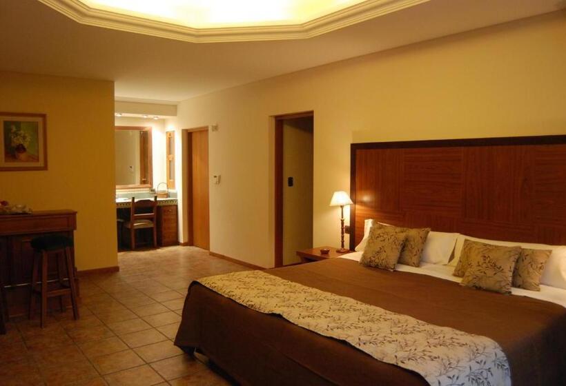 فندق Suter Petit