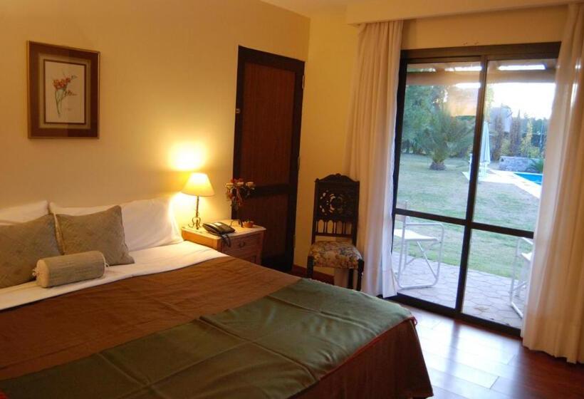 فندق Suter Petit