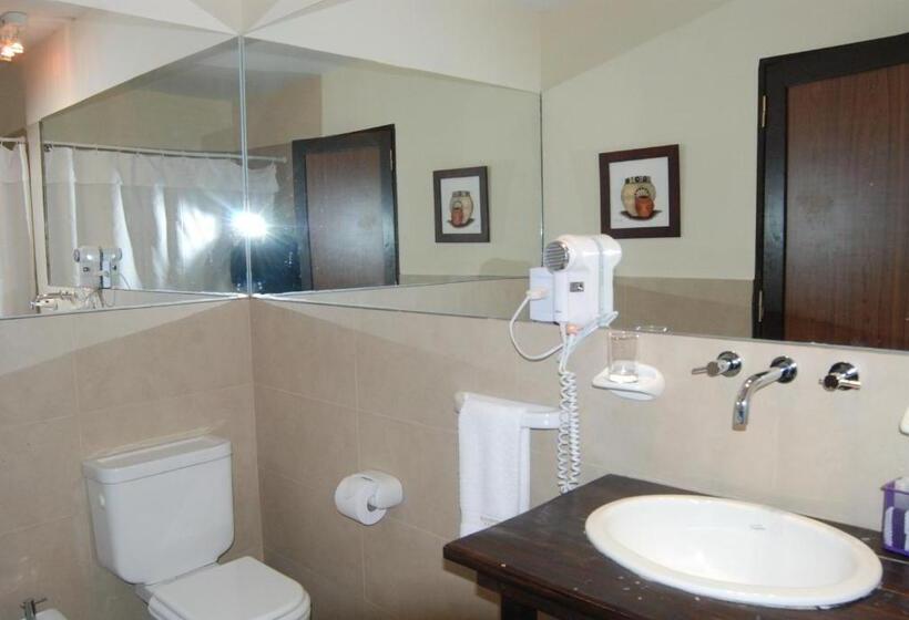 فندق Suter Petit