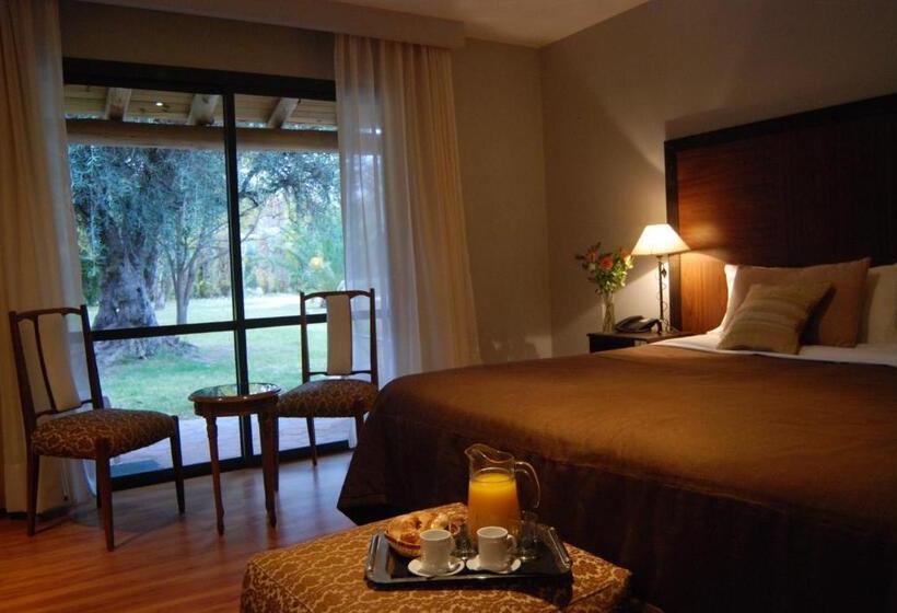 فندق Suter Petit