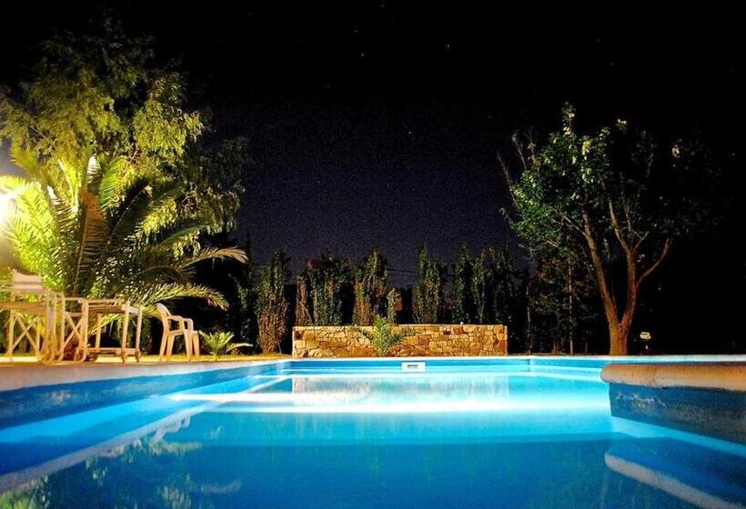 فندق Suter Petit