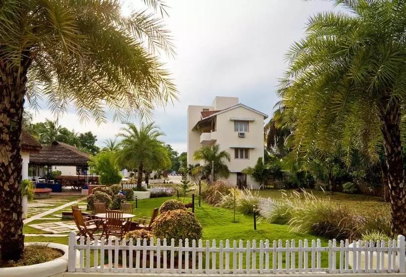 渡假胜地  Mgm Eastwoods