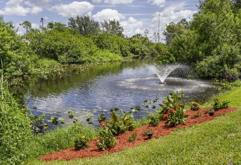 Otel Comfort Inn & Suites Port Charlottepunta Gorda