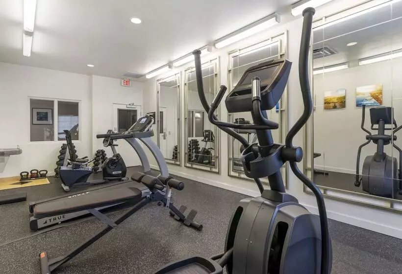 酒店 Comfort Inn & Suites Port Charlottepunta Gorda