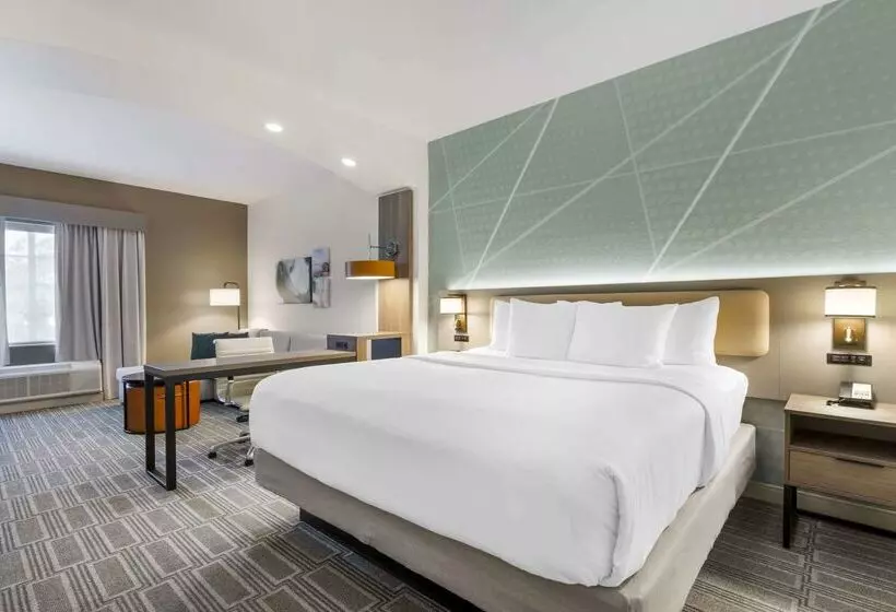 酒店 Comfort Inn & Suites Port Charlottepunta Gorda