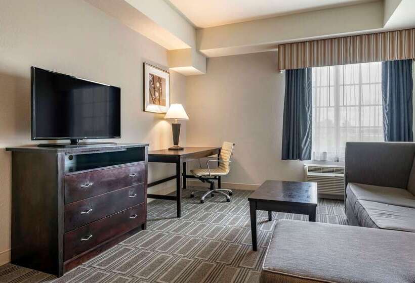 Otel Comfort Inn & Suites Port Charlottepunta Gorda