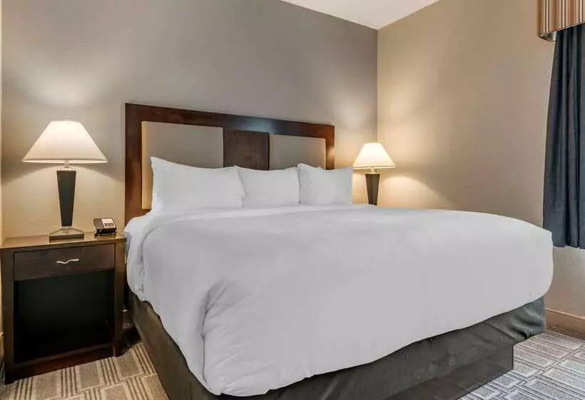 酒店 Comfort Inn & Suites Port Charlottepunta Gorda