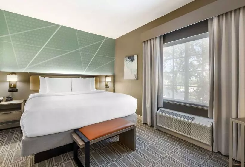 酒店 Comfort Inn & Suites Port Charlottepunta Gorda