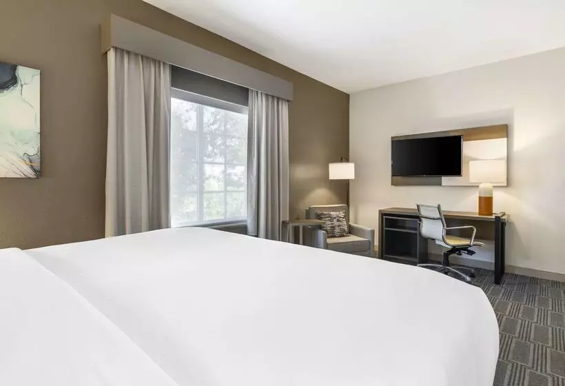 酒店 Comfort Inn & Suites Port Charlottepunta Gorda