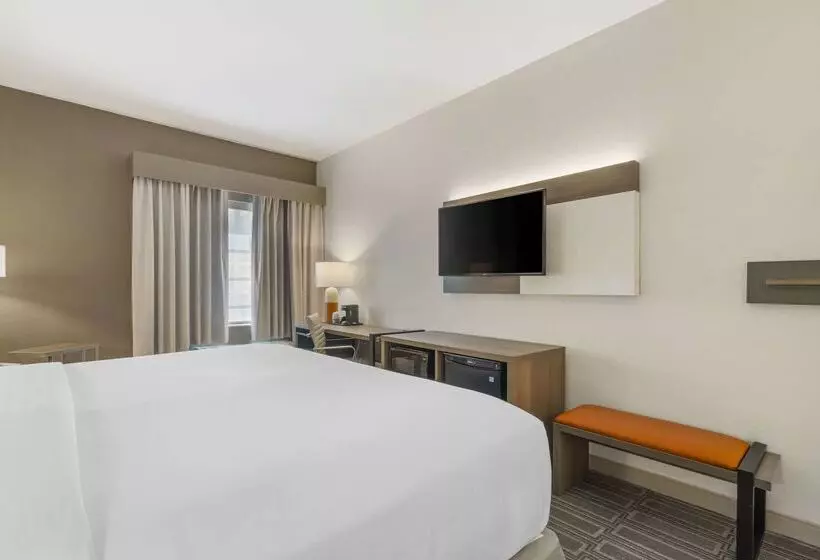 酒店 Comfort Inn & Suites Port Charlottepunta Gorda