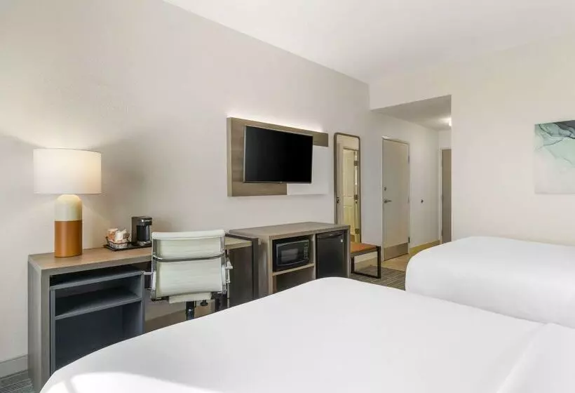 酒店 Comfort Inn & Suites Port Charlottepunta Gorda