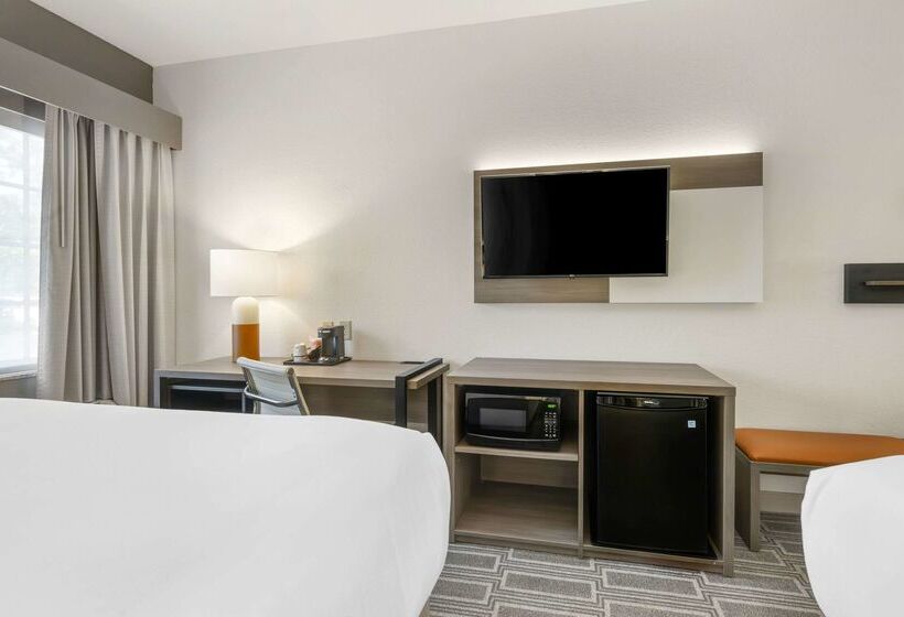 Otel Comfort Inn & Suites Port Charlottepunta Gorda