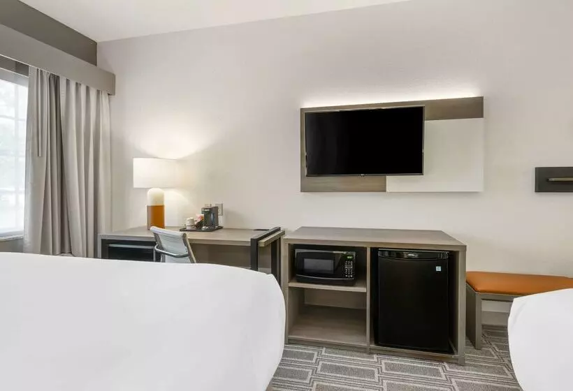 酒店 Comfort Inn & Suites Port Charlottepunta Gorda