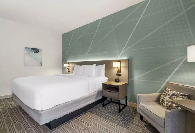 酒店 Comfort Inn & Suites Port Charlottepunta Gorda