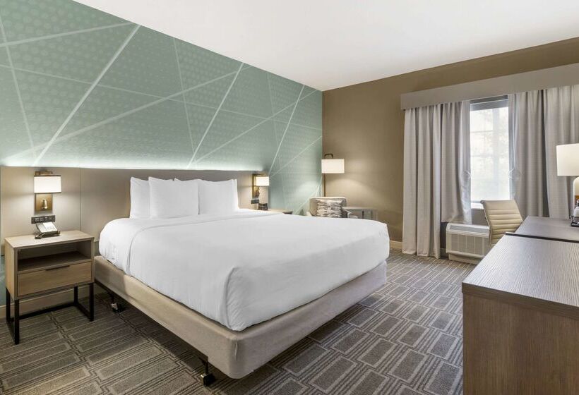 Otel Comfort Inn & Suites Port Charlottepunta Gorda