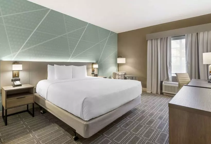 酒店 Comfort Inn & Suites Port Charlottepunta Gorda