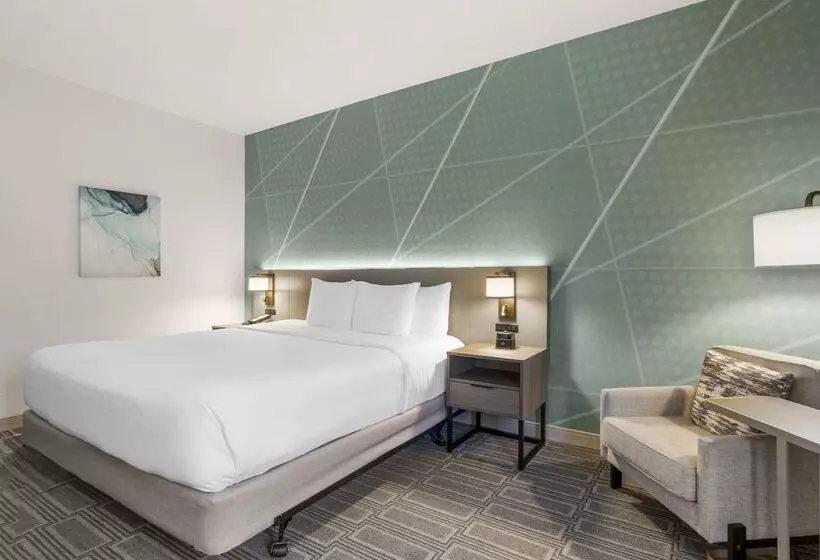 酒店 Comfort Inn & Suites Port Charlottepunta Gorda