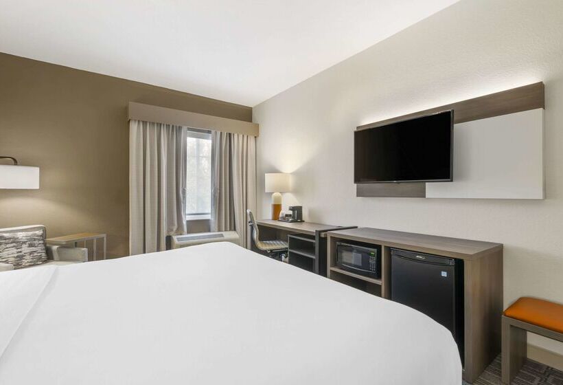 Otel Comfort Inn & Suites Port Charlottepunta Gorda