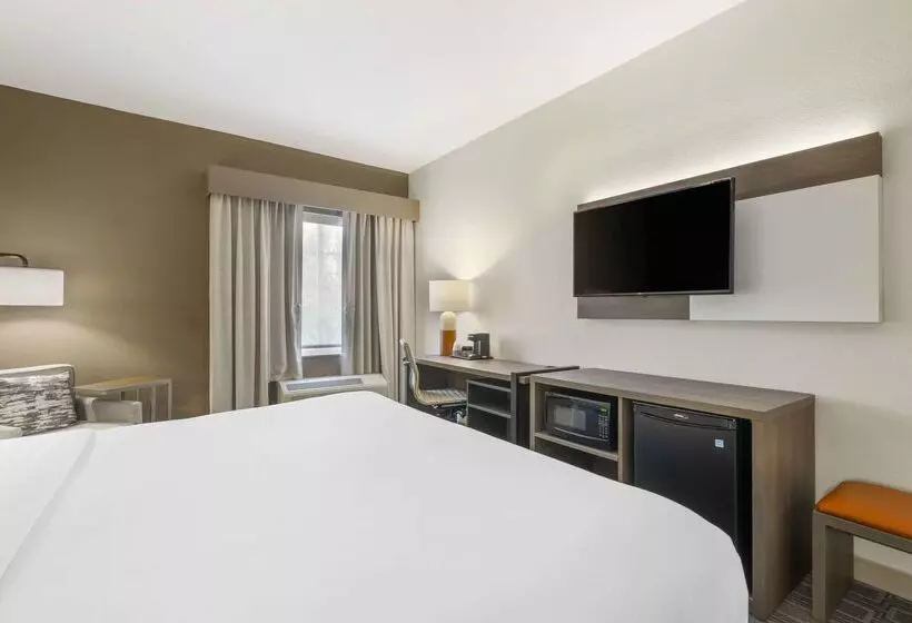 酒店 Comfort Inn & Suites Port Charlottepunta Gorda