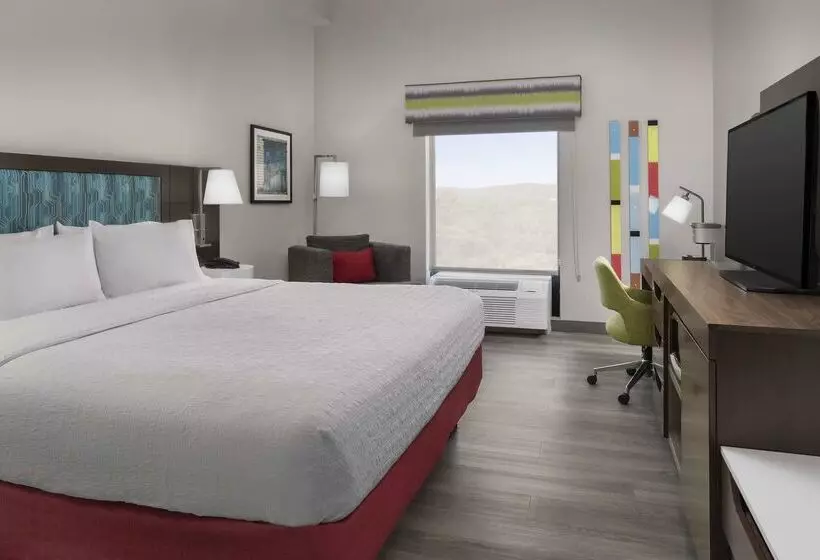 בית מלון כפרי Hampton Inn Birmingham I65/lakeshore Drive